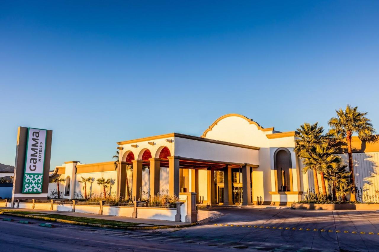 Gamma Ciudad Juarez Hotel Exterior photo The Gamma Phi Delta Fraternity House at the University of Arizona